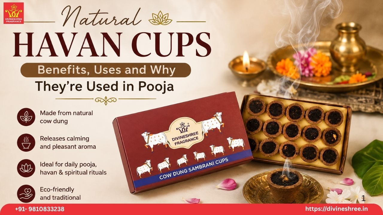 New Delhi, Appliances, INR 500,  Natural Havan Cups: Benefits, Uses And Why They&rsquo;re Used In Pooja