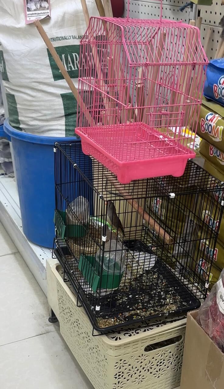 Al Jubail Al Balad, Pet Supplies, SAR 120,  Birds Cage - 2 Pcs