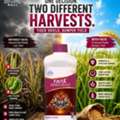 INR 500,  Top 10 Pesticide Companies In India For Crop Protection
