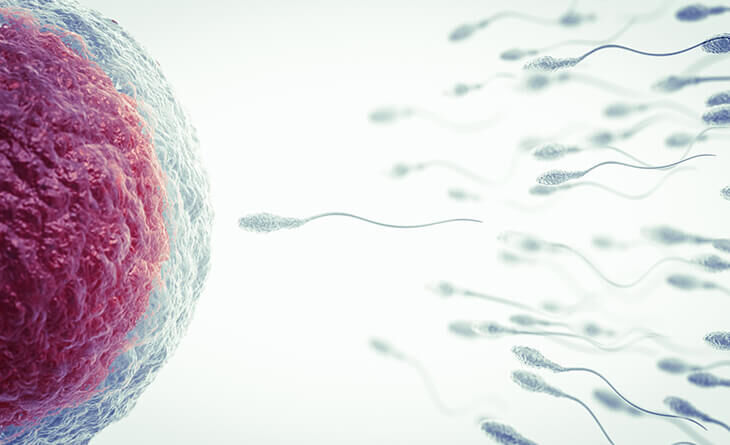 New Delhi, Health, IUI Treatment Cost In Delhi - Dr Rhythm Gupta