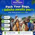 Budget-friendly Tours And Travels In Bhubaneswar