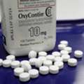 Buy Oxycodone 10 Mg : Strong Pain Killer Tablet