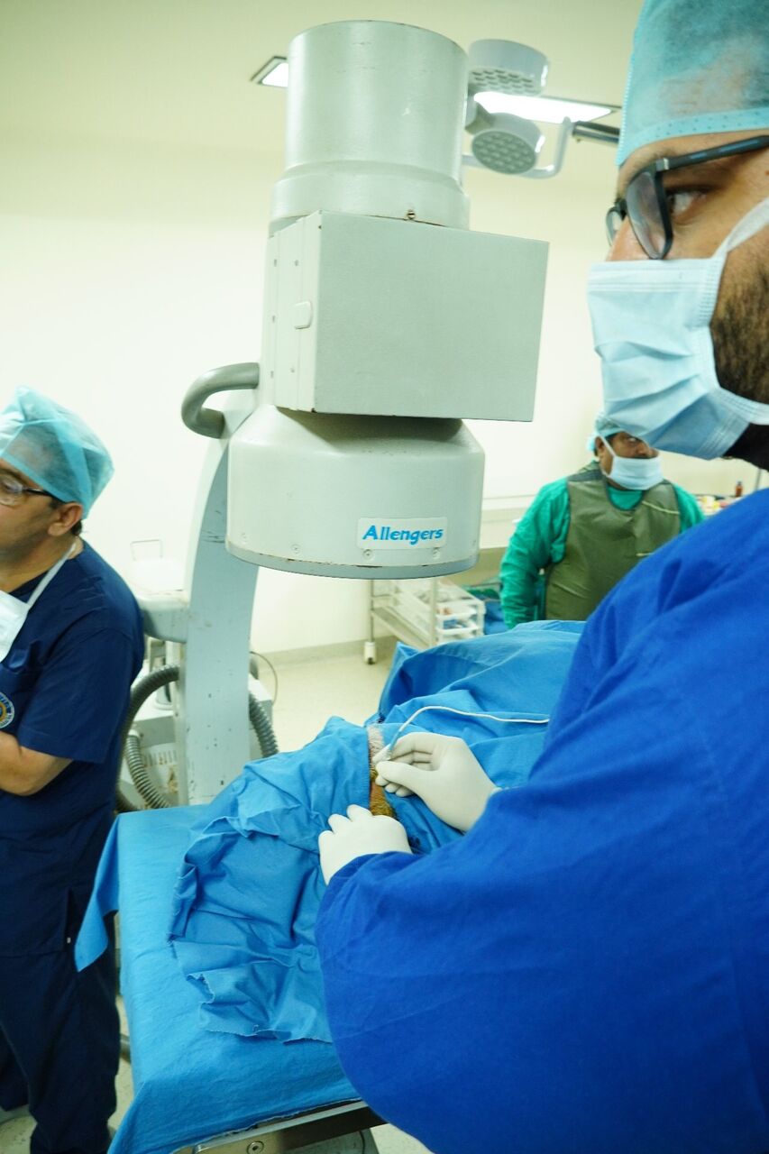 Mumbai, Health, Understanding Disc-Related Back And Leg Pain