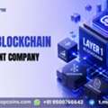 Turn Your Blockchain Vision Into A Network With Layer 1 Blockchain Development