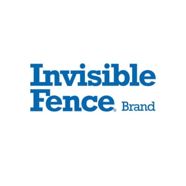 New York, Business, Invisible Fence