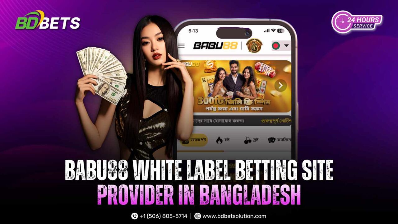 Dhaka, Web Design & Development, Launch Your Babu88 Betting Website With Bdbetsolution