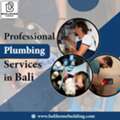 Professional Plumbing Services In Bali