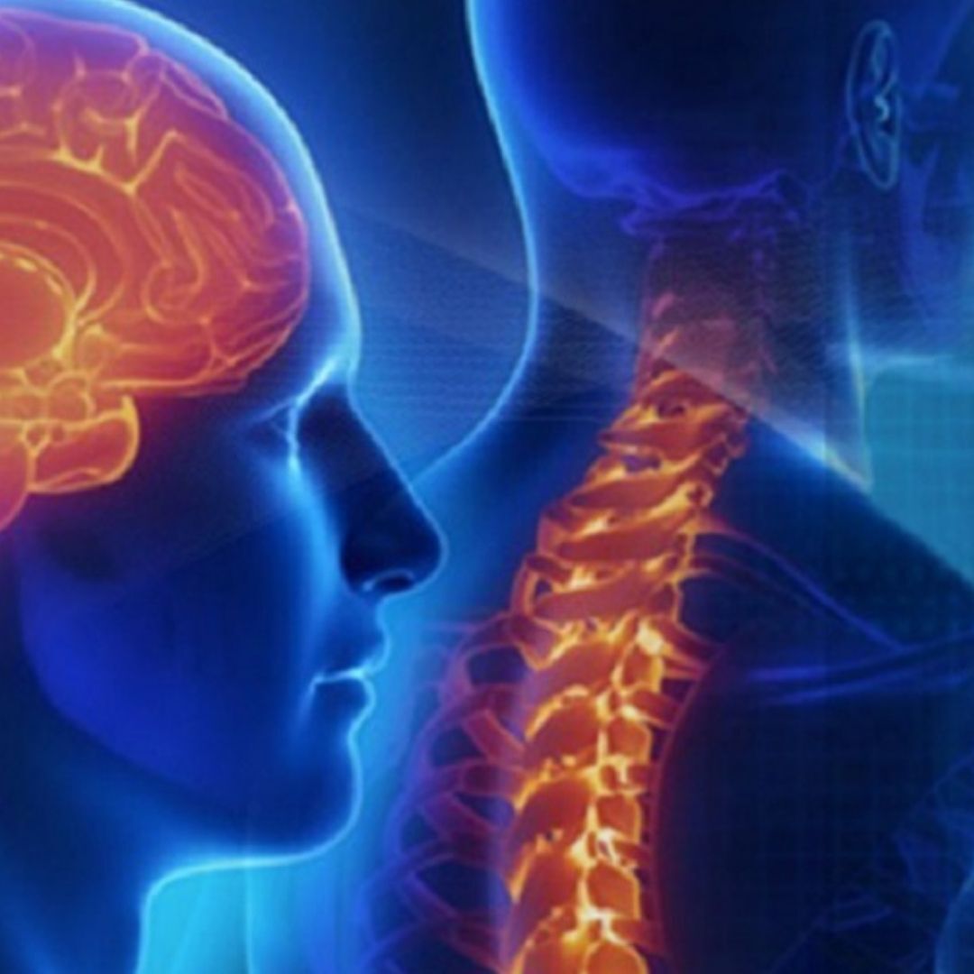 Punjab, Health, Expert Neurologist In Zirakpur | Dr. Rajnish Kumar | Excel Medi Clinics