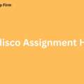 Stress-Free Perdisco Solutions: Get Perdisco Assignment Help Today!