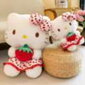 Make Raksha Bandhan Special With A Sister Gift