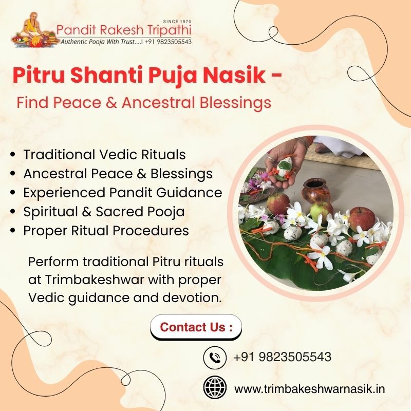 Mumbai, Health, Pitru Shanti Puja Nasik For Peace And Ancestral Blessings