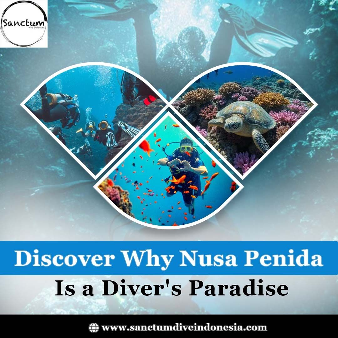 Jakarta, Travel, Discover Why Nusa Penida Is A Diver