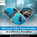 Discover Why Nusa Penida Is A Diver's Paradise
