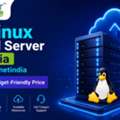 Get Linux Cloud Server In India From Hostnetindia At A Budget-Friendly Price