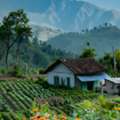 Best Holiday & Tour Packages In India | KindQuest Travel