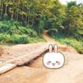 THB 500000,  6 BR,  1235 Sq. Feet,  Year 69, Looking For Wealth With Good Conditions Land Next To A Stream For Rent Next To