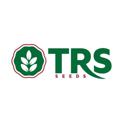 Ahmedabad, Food, Best Hybrid Muskmelon Seeds For Quality Fruit Production In India