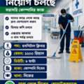 Hospital Cleaner