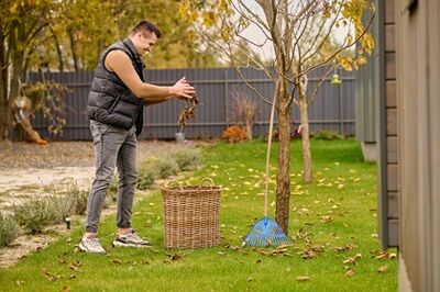 London, Business, Fresh Garden, Hassle-Free Waste Removal!