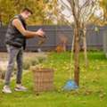 Fresh Garden, Hassle-Free Waste Removal!