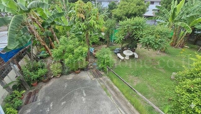 Bangkok, Real Estate For Sale, THB 7700000,  6 BR,  59 Sq. Feet,  Empty Land, Special Price, 59.5 Sq M, Already Filled, Sukhumvit 97/1, Near BTS Bang Chak.