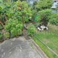 THB 7700000,  6 BR,  59 Sq. Feet,  Empty Land, Special Price, 59.5 Sq M, Already Filled, Sukhumvit 97/1, Near BTS Bang Chak.