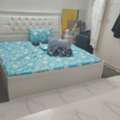 SAR 1700/month,  Furnished,  Singal Family Room