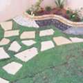 خدمات البستنة والعناية بالنباتات 🌿🌱/Professional Gardening & Plan