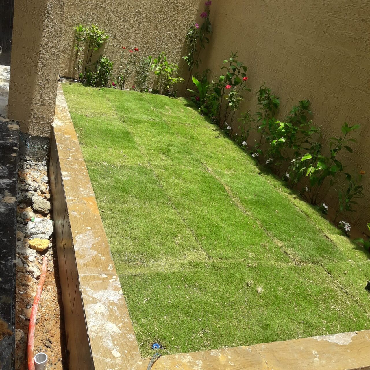 Riyadh, Farm/Garden, خدمات البستنة والعناية بالنباتات 🌿🌱/Professional Gardening & Plan