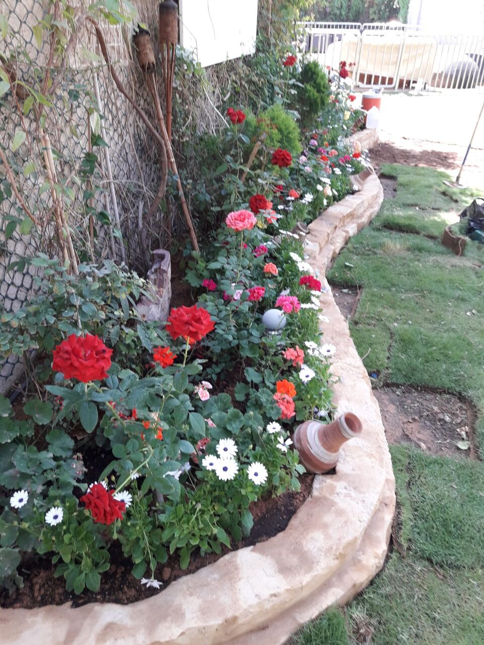 Riyadh, Farm/Garden, خدمات البستنة والعناية بالنباتات 🌿🌱/Professional Gardening & Plan
