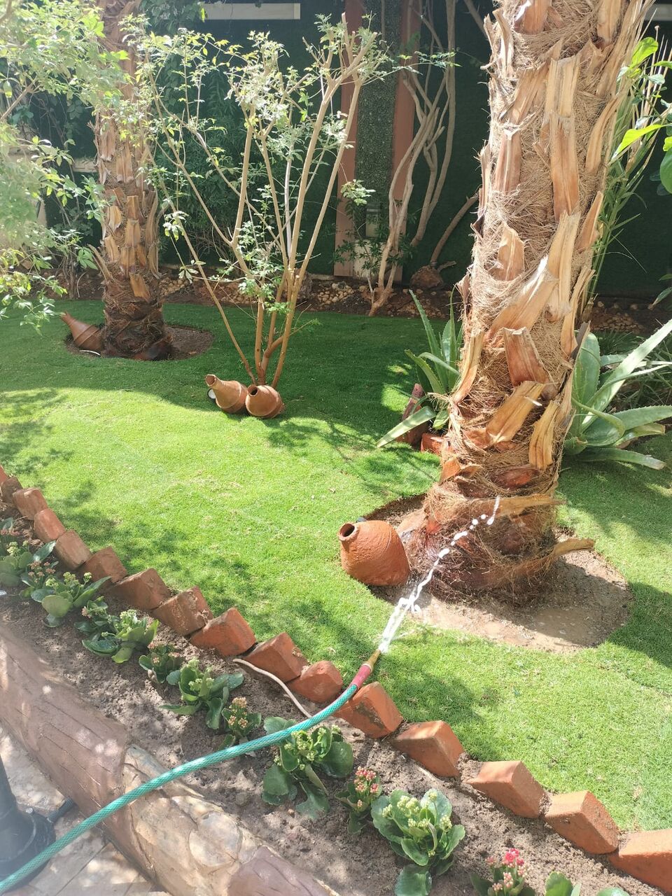Riyadh, Farm/Garden, خدمات صيانة وتنظيف الحدائق 🌿 / Garden Maintenance & Cleaning Services