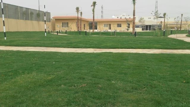 Riyadh, Farm/Garden, خدمات صيانة وتنظيف الحدائق 🌿 / Garden Maintenance & Cleaning Services