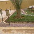 خدمات قص الأشجار والزراعة والبستنة 🌳🌿 /Tree Cutting, Planta