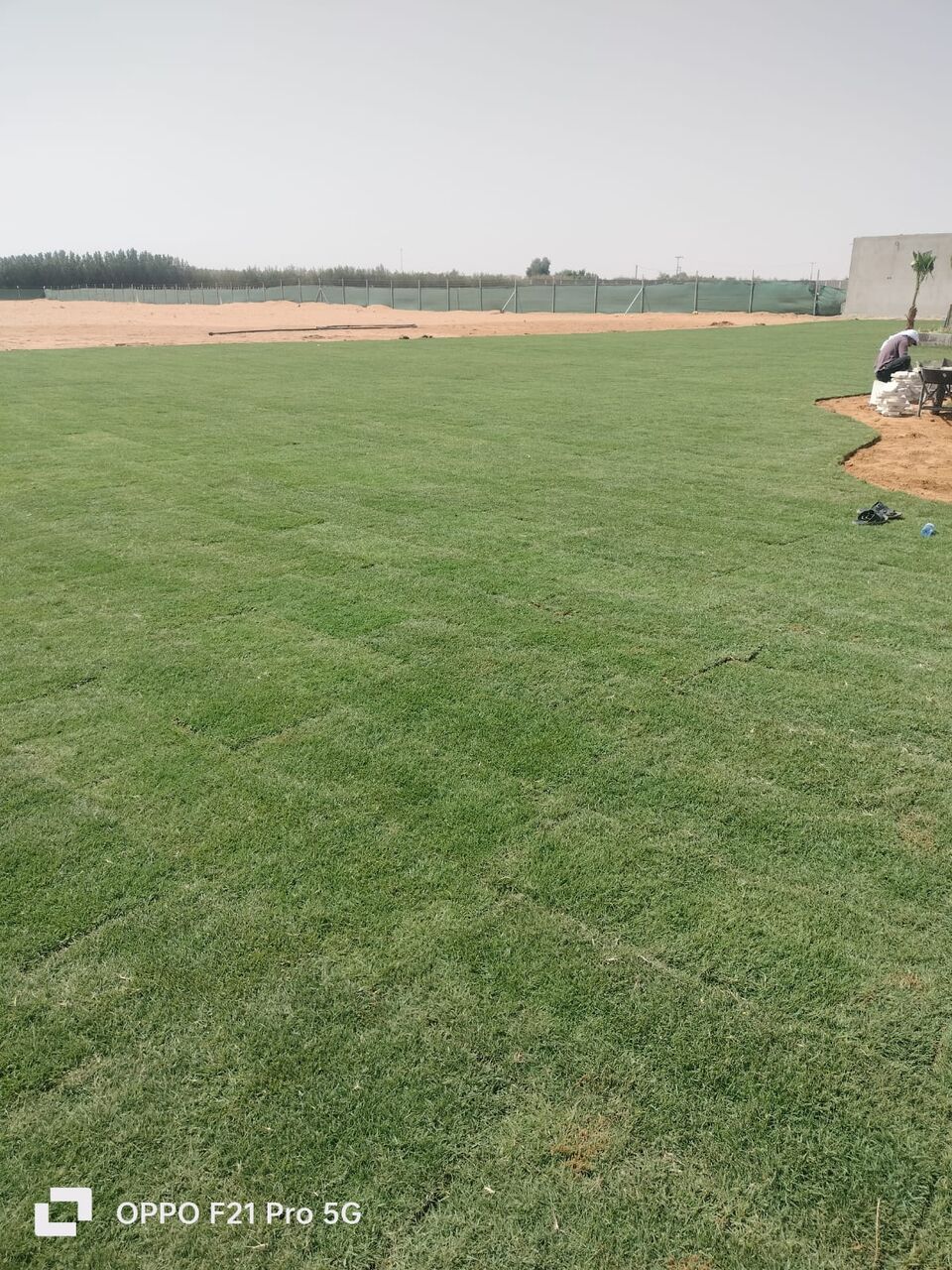 Riyadh, Farm/Garden, عامل حدائق متوفر – جميع خدمات البستنة 🌱/Gardener Available 