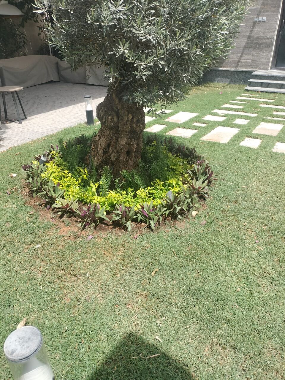 Riyadh, Farm/Garden, عامل حدائق متوفر – جميع خدمات البستنة 🌱/Gardener Available 