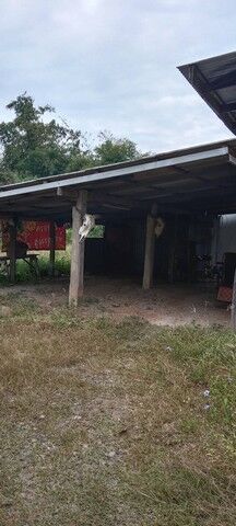 Bangkok, Real Estate For Sale, THB 390000,  6 BR,  262 Sq. Feet,  Year 69, Looking For Wealth With Good Conditions Rachan Muang Sing Camp, 262 Square Wah,