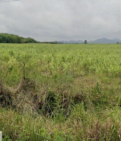 Bangkok, Real Estate For Sale, THB 4600000,  6 BR,  800 Sq. Feet,  Empty Land For Sale, Good Location, Area 2 Rai, Location Hin Lek Fai, Hua Hin, Near