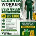 URGENT HIRING CLEANERS