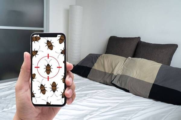 Austin, Pest Control, Emergency Pest Control Services | 844-817-0084