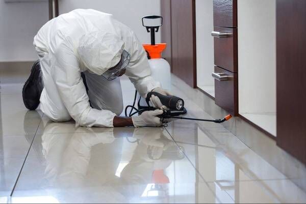 Austin, Pest Control, Emergency Pest Control Services | 844-817-0084