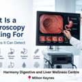 What Is A Gastroscopy Looking For? | Harmony