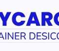 DryCargo - PT Dickson Synergy