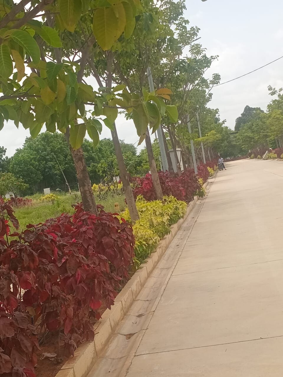 Hyderabad, Residential Plots, INR 23000,  218 Sq. Yard,  HMDA & RERA FINAL APPROVED Open Plots For Sale @ Maheshwaram