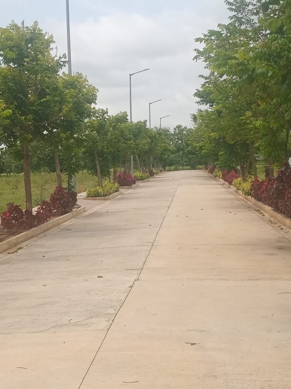 Hyderabad, Residential Plots, INR 23000,  243 Sq. Yard,  HMDA & RERA FINAL APPROVED Open Plots For Sale & Maheshwaram