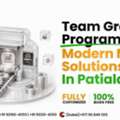 MLM Software Development Company In Patiala