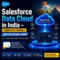 Salesforce Data Cloud In India &ndash; Complete Course & Certification Guide