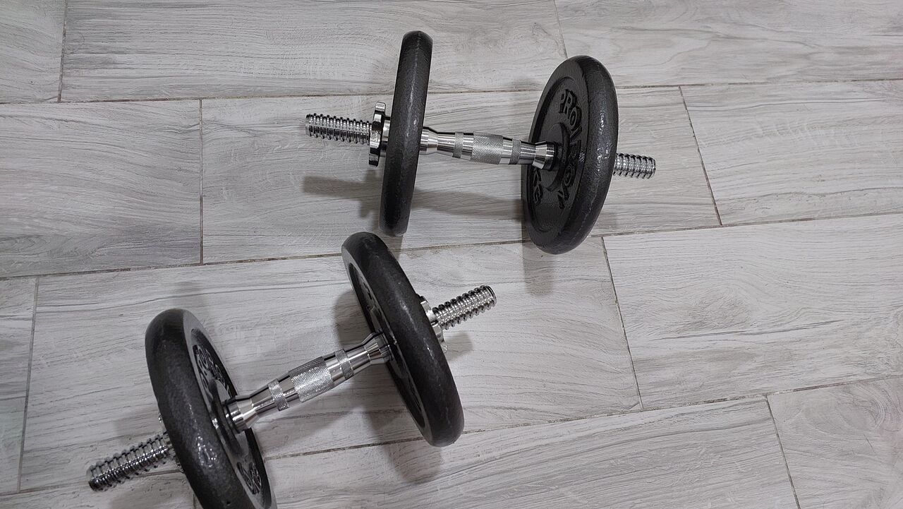 Dammam, Sporting Goods, SAR 300,  Pair Of Dumbell, 10kg Each & Pull-up Bar