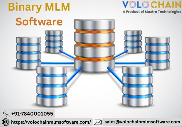Noida, Software Development, Binary MLM Software For Smart Network Growth | Volochain