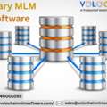 Binary MLM Software For Smart Network Growth | Volochain