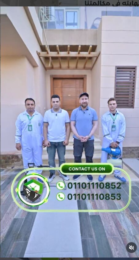 Nasr City, Pest Control, تخلص من النمل المؤذي في فصل الصيف مع الالما